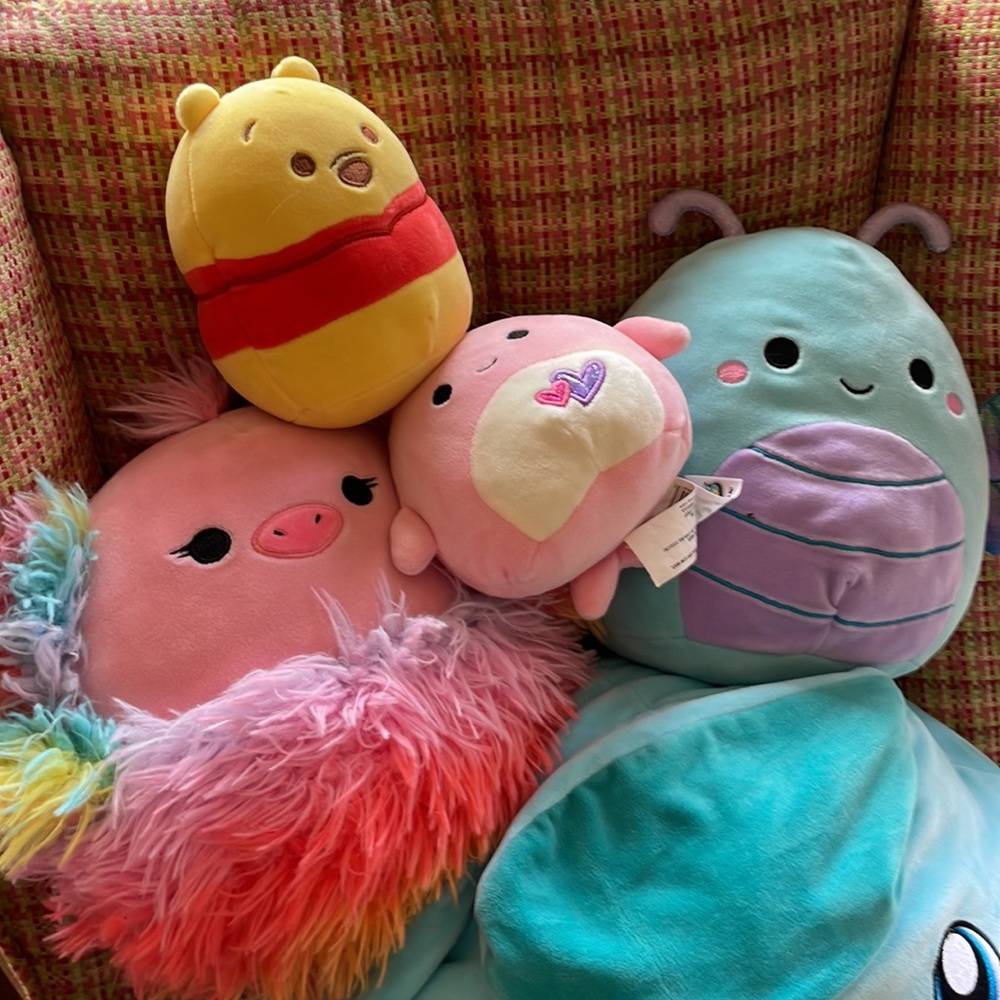 Squishmallows! - Picture 5 of 6